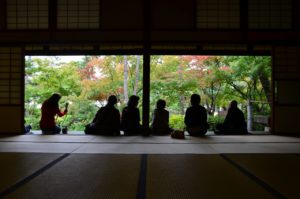 窓辺の風景