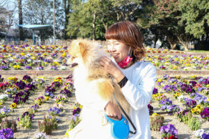 パンジーを背景に王子を抱える久保千聡